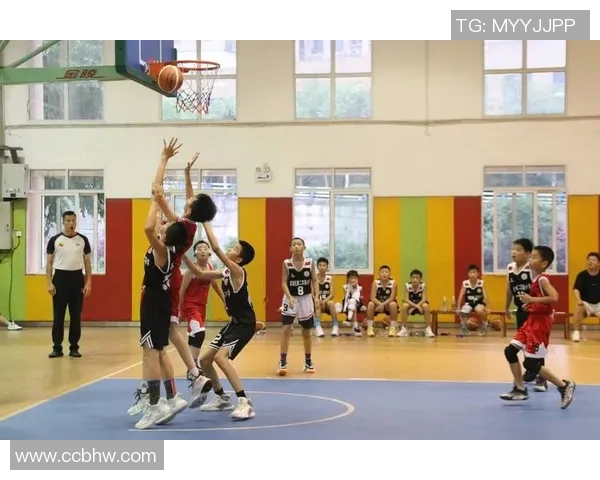 探索重庆篮球队的力量与魅力揭开篮球巨献的神秘面纱