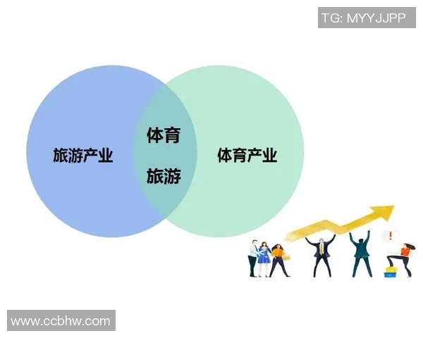 深度解析上海滑板队的运营策略与运动专业发展路径