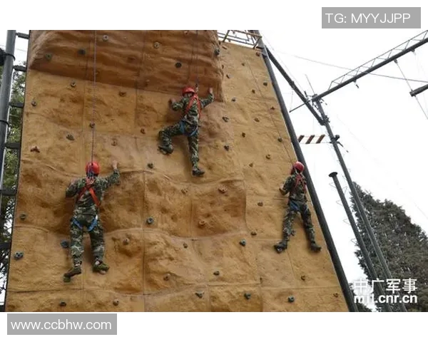 运动数据南京攀岩队的训练节奏与比赛表现深度对比分析