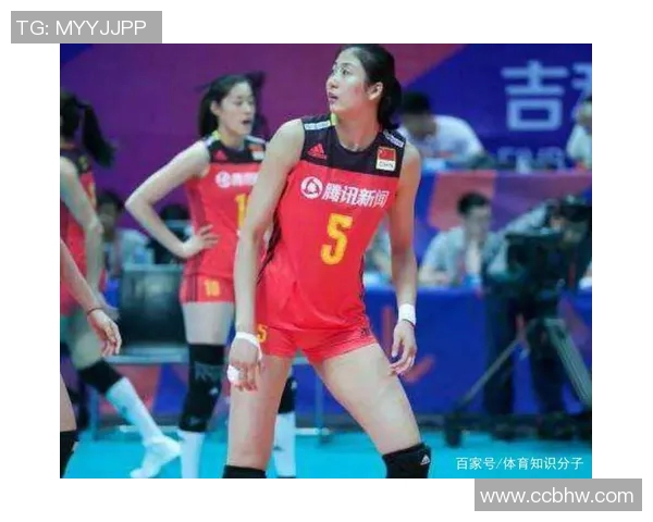 今年运动数据重庆排球队实力解析聚焦排球运动的崛起与发展